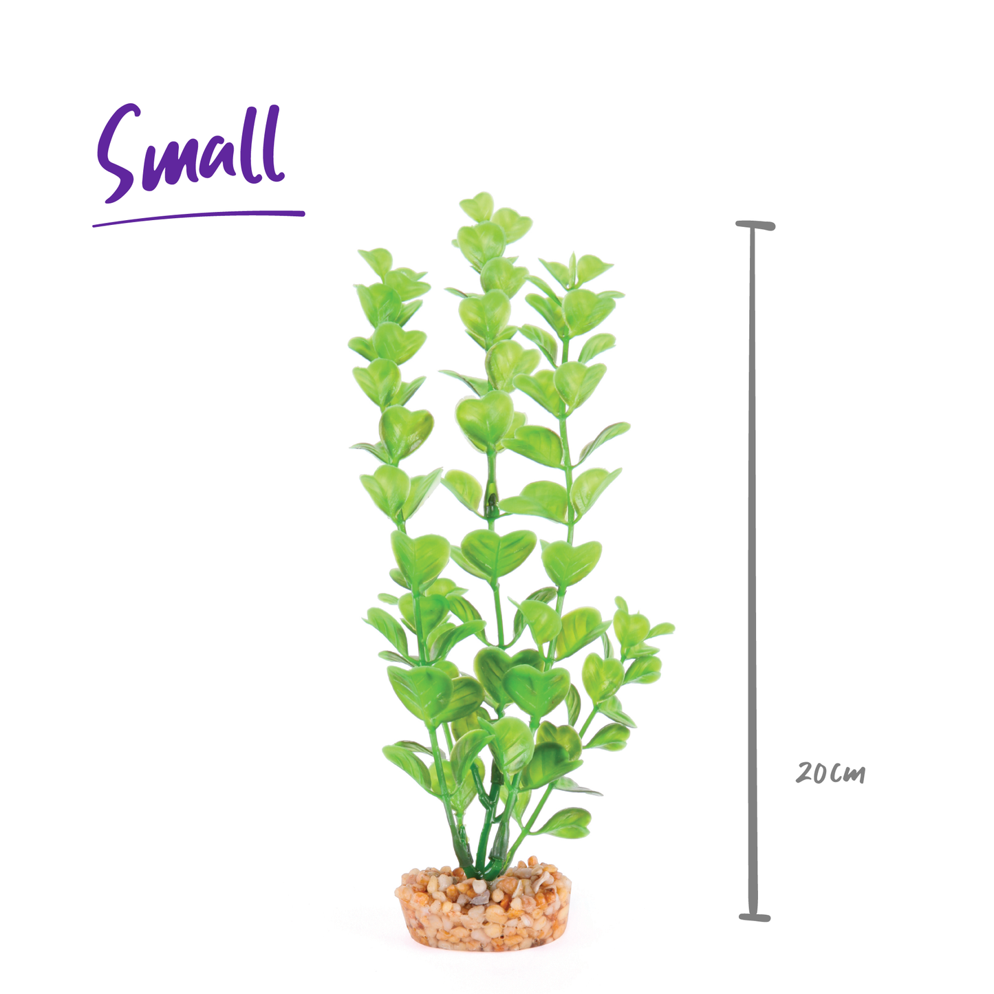 Decorative Plant - Medium Leaf Green