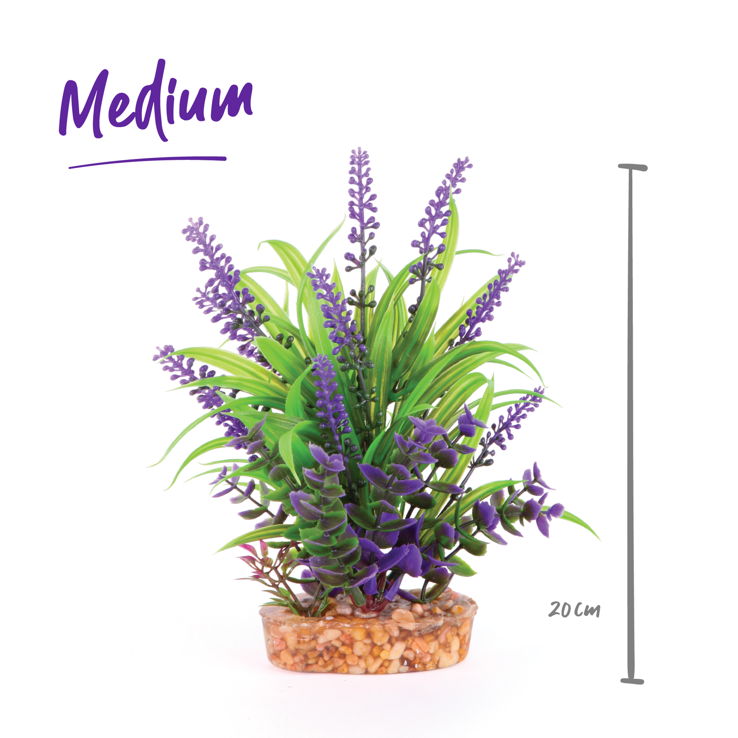 Plush Plant - Thin Leaf With Purple Flower