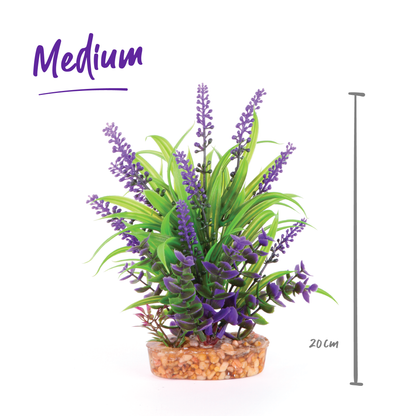 Plush Plant - Thin Leaf With Purple Flower