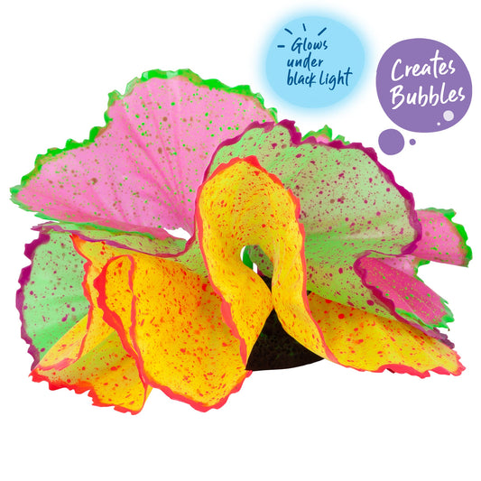 Bubbling Silicone Sea Lettuce Assorted