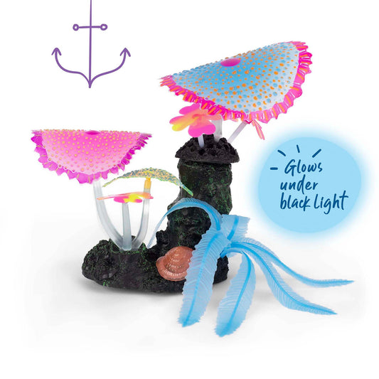 Carpet Coral with Blue Fern